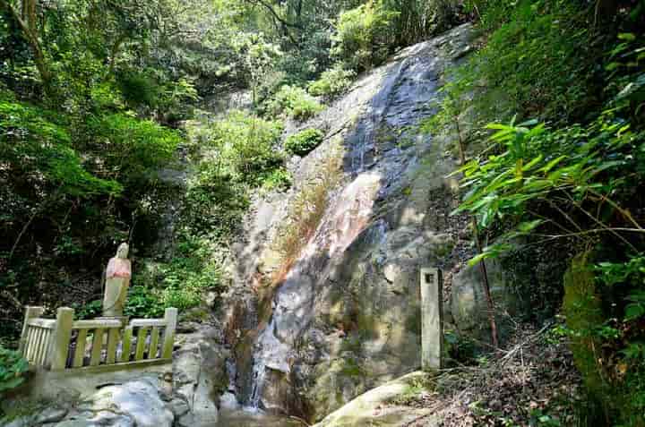 �̐�̑�E���e